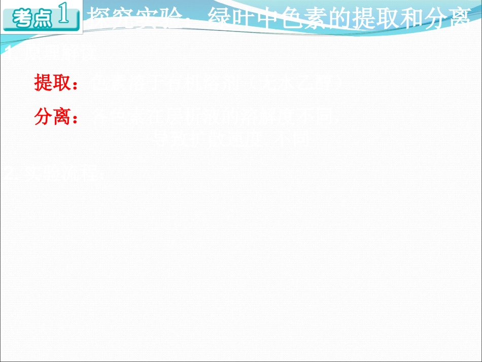 光与光合作用_第2页