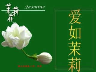 爱如茉莉李莉