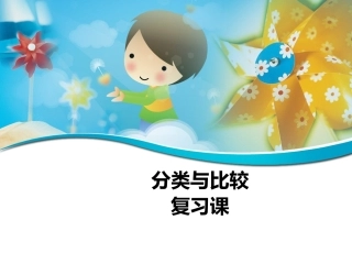 分类比较复习课