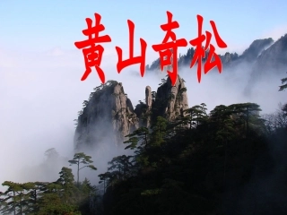 《黄山奇松》课件