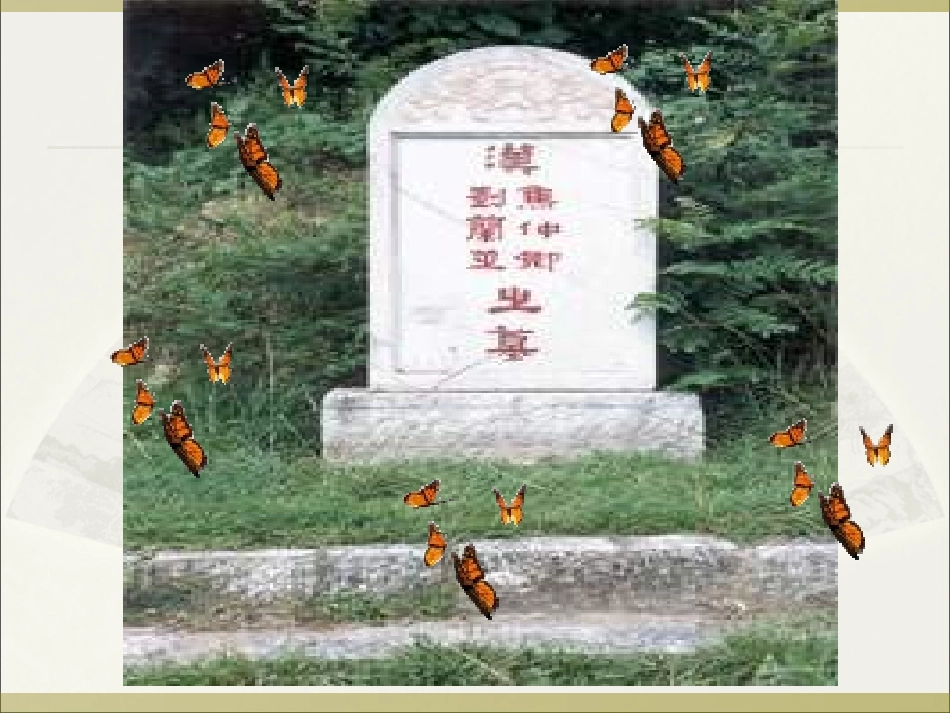 《孔雀东南飞》优秀课件 (1)_第2页