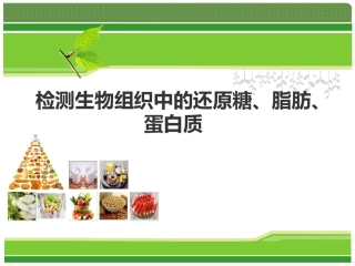 《检测生物组织中的还原糖、脂肪、蛋白质》说课课件