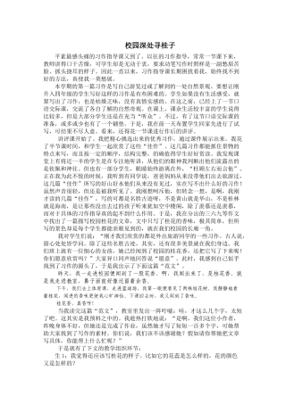 校园深处寻桂子