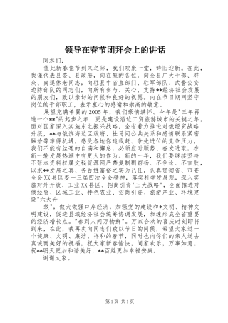 领导在春节团拜会上的讲话