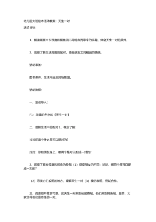 幼儿园大班绘本活动教案：天生一对