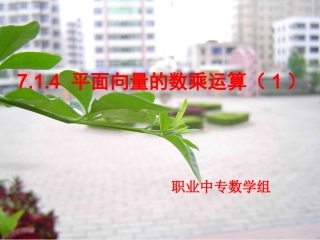7.1.4_平面向量的数乘运算(1)