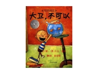 大卫，不可以