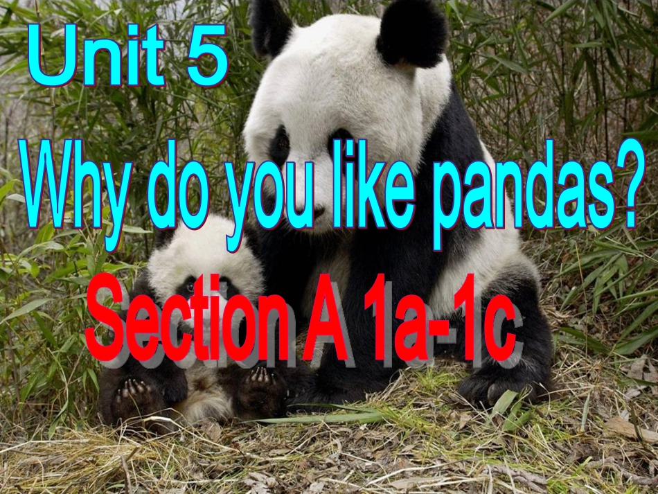 七年级下册Unit5SectionA第一课时课件_第2页