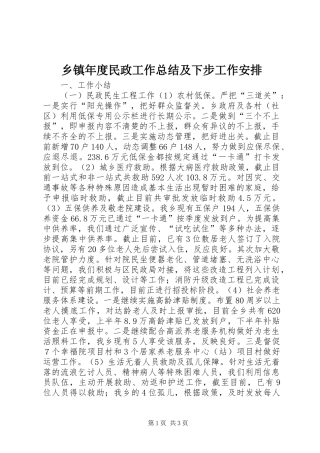 乡镇年度民政工作总结及下步工作安排