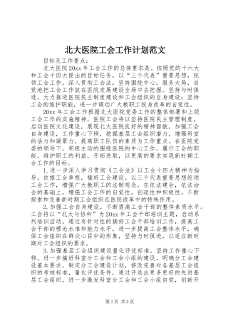 北大医院工会工作计划范文