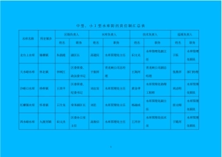 中型小Ⅰ型水库防汛责任制汇总表