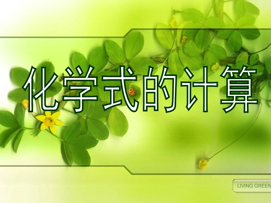 化学式的计算_第1页