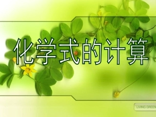 化学式的计算