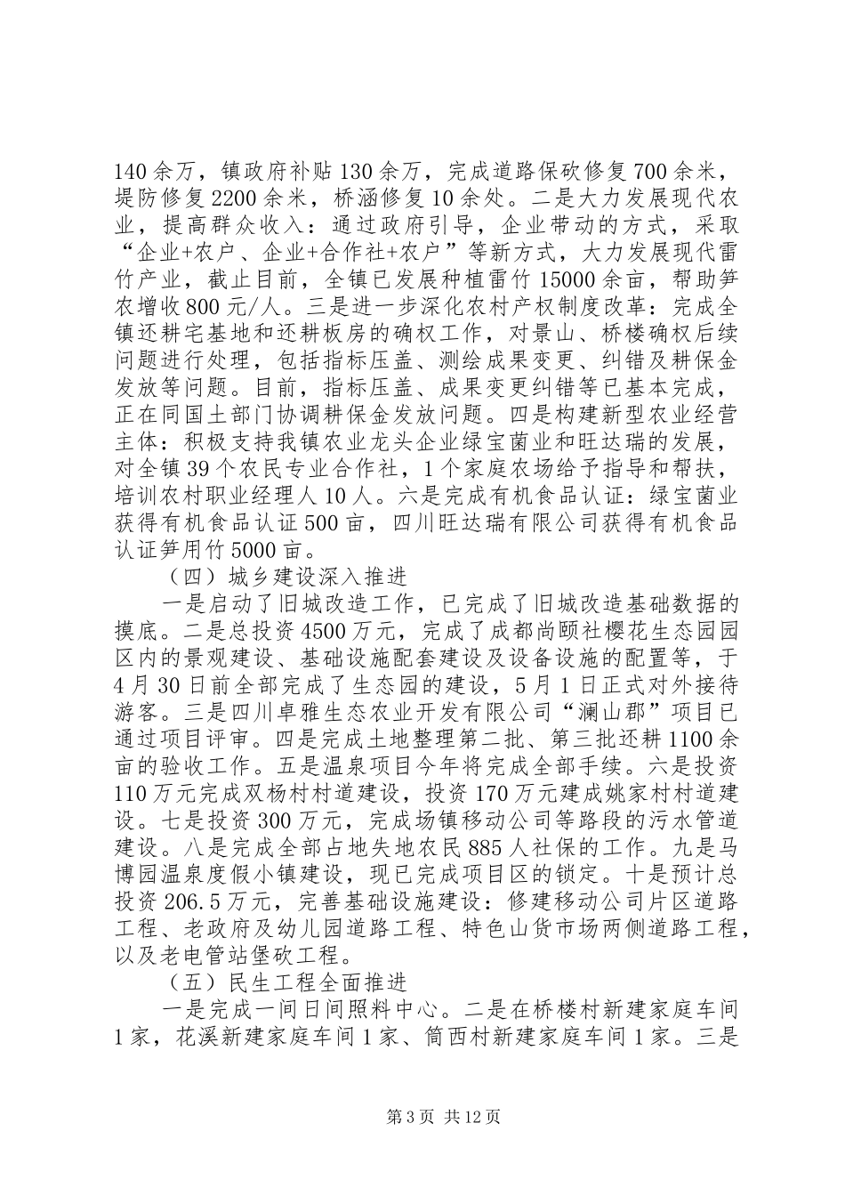 XX年人民政府工作总结和XX年工作计划_第3页