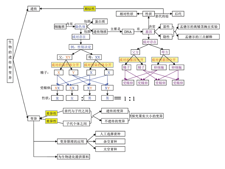 遗传与变异思维导学图_第2页