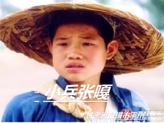 小兵张嘎修课件