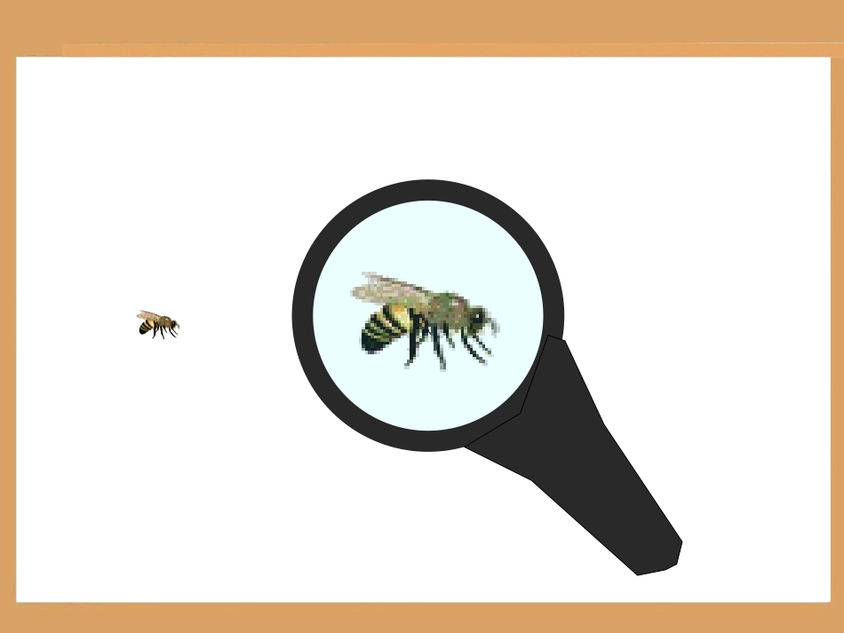 图形放大与缩小_第2页