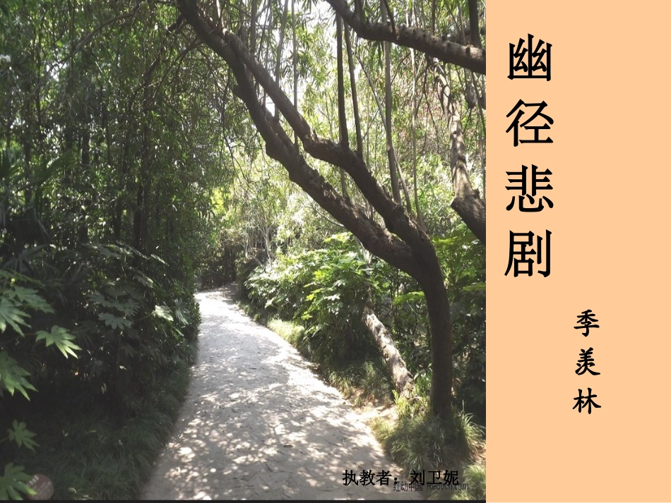 幽径悲剧 (2)_第3页