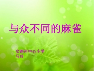与众不同的麻雀