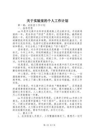 关于实验室的个人工作计划
