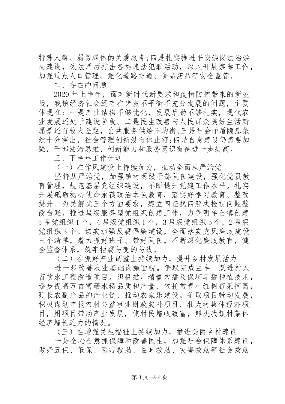 乡镇XX年上半年工作总结暨下半年工作安排_第3页