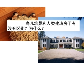 人的认识从何而来4