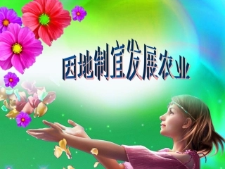 中国农业的差异