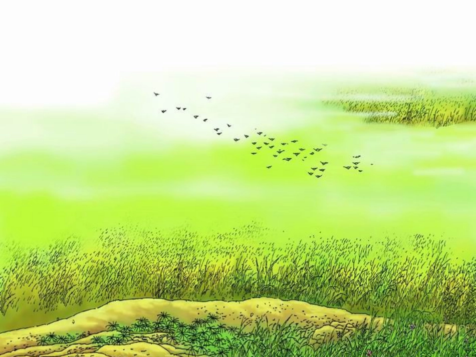 古诗两首草宿新市徐公店_第1页