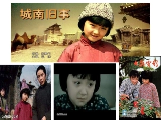 《爸爸的花落了》课件