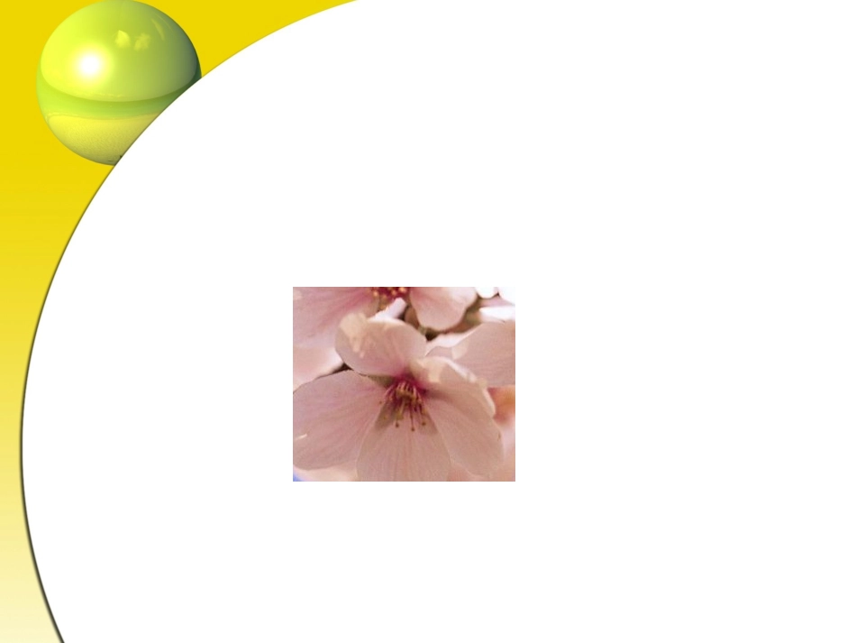 一年级语文《花朵》_第3页