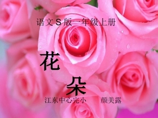 一年级语文《花朵》