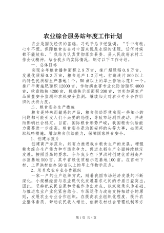 农业综合服务站年度工作计划