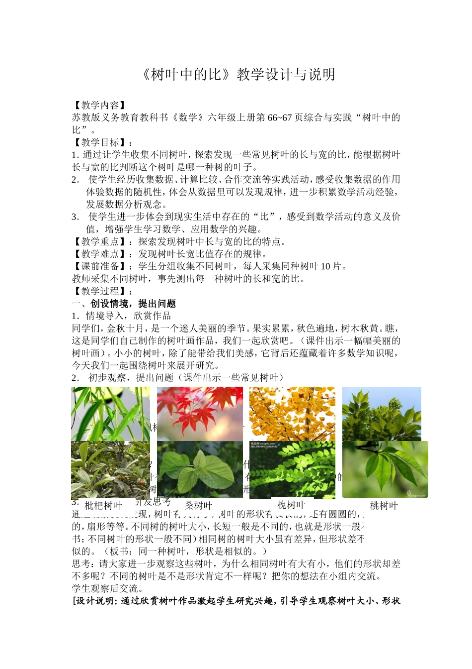 树叶中的比教案_第1页