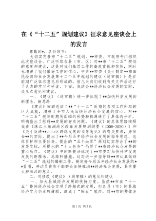 在《“十二五”规划建议》征求意见座谈会上的发言_1
