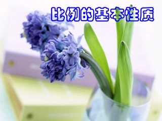 ）比例的基本性质