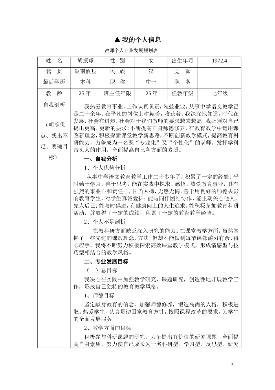 教师专业成长档案_第3页