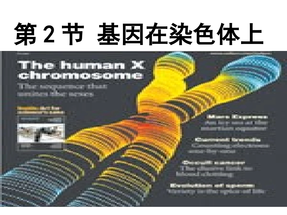 基因在染色体上设计一_第1页