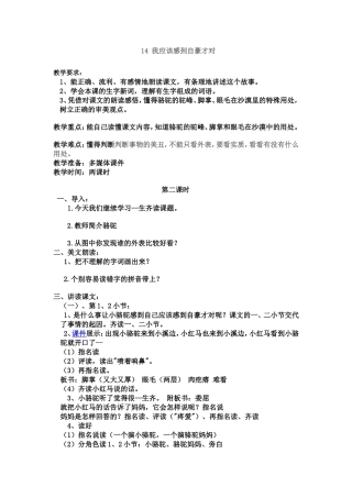 我应该感到自豪才对教案