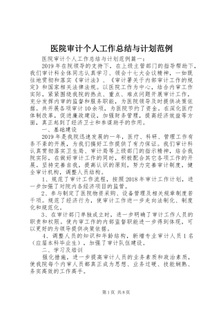 医院审计个人工作总结与计划范例