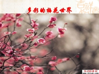 卜算子咏梅__PPT课件