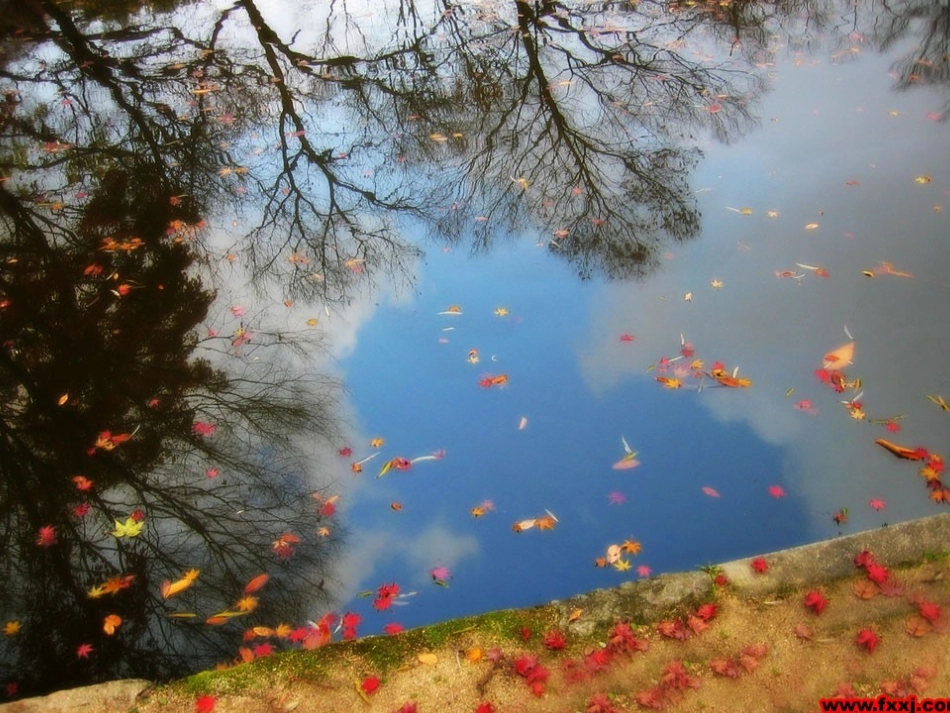 秋天何其芳同课异构_第3页