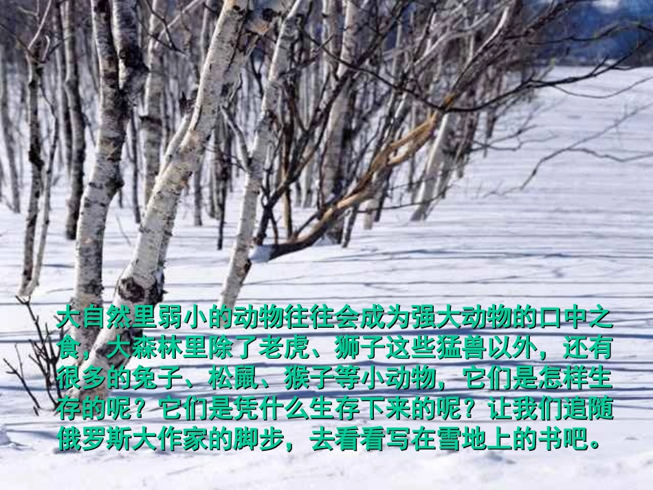 《写在雪地上的书》课件_第2页