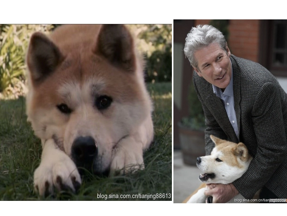 小狗包弟于东红_第2页