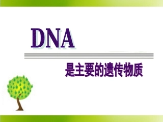 《DNA是主要的遗传物质》参考课件2