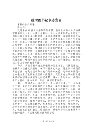 挂职副书记表态发言