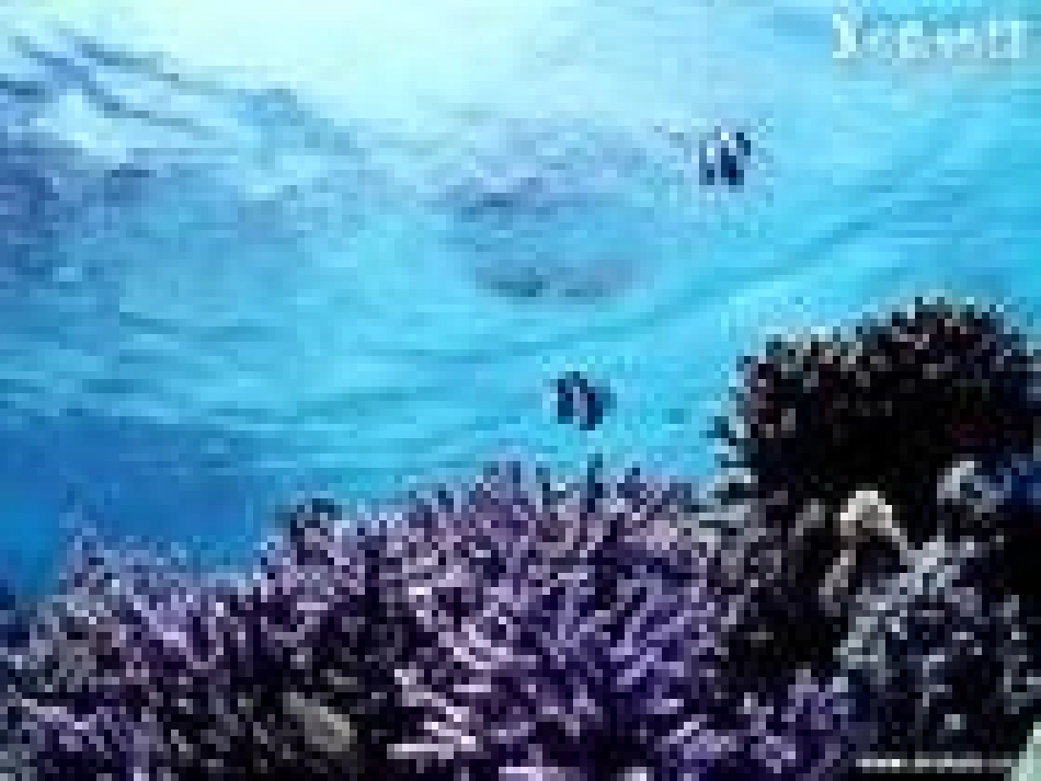 画里少了什么_第3页