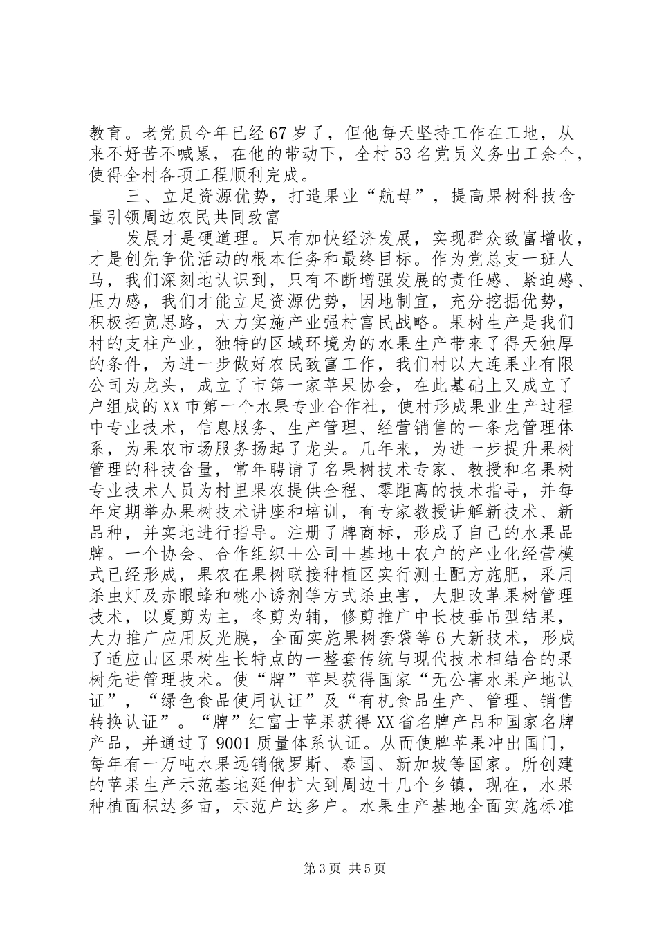 创先争优大会上村支书讲话_第3页