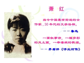 我和祖父的园子课件 (2)