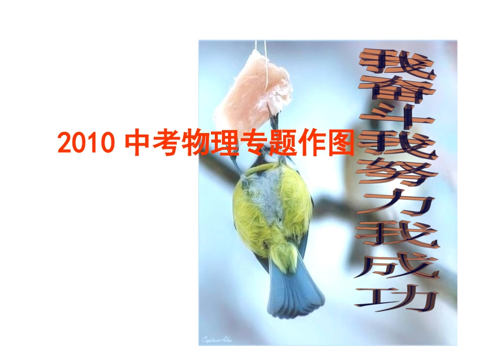 2010中考物理专题作图_第1页