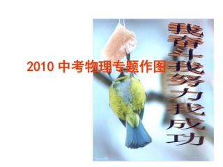 2010中考物理专题作图